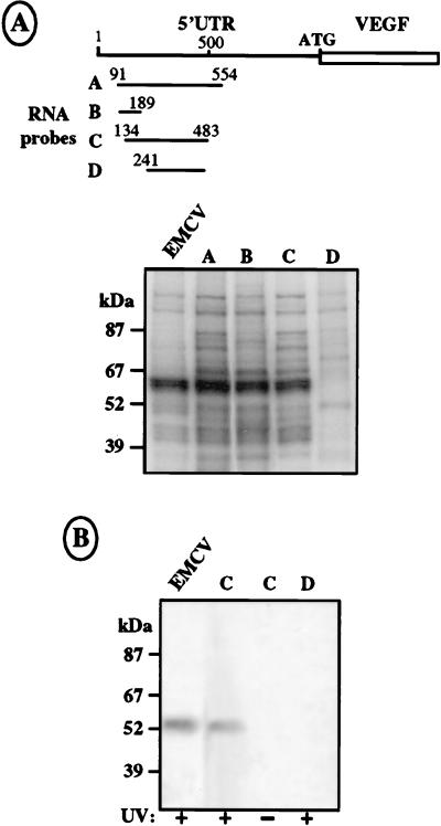 FIG. 8