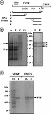 FIG. 6