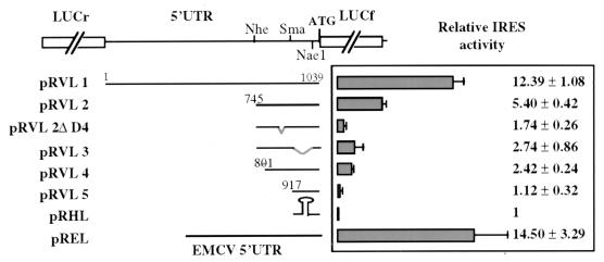 FIG. 5