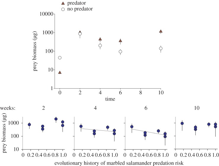 Figure 3.