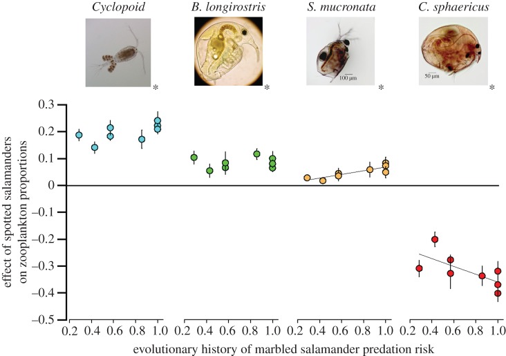 Figure 2.