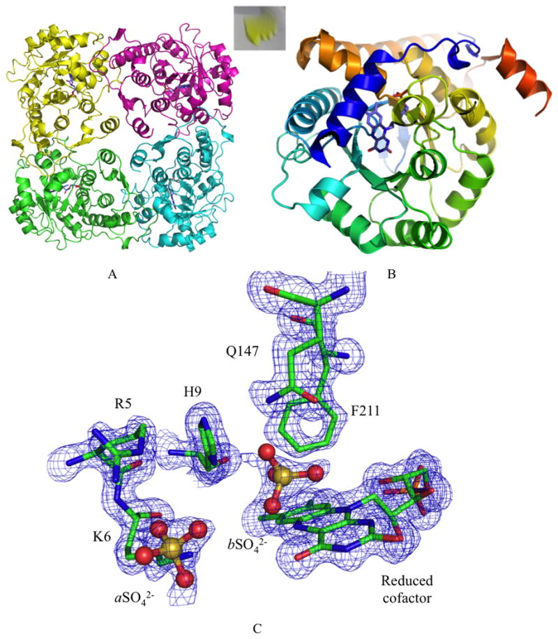 Figure 2