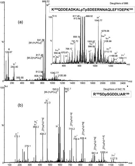 FIG. 9.