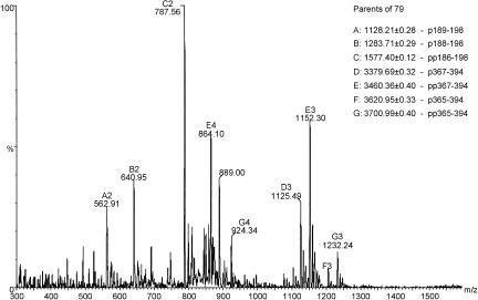 FIG. 8.