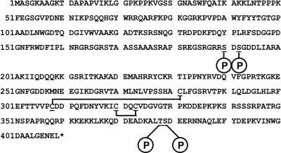 FIG. 13.