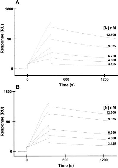 FIG. 10.