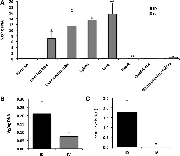 FIG. 6.