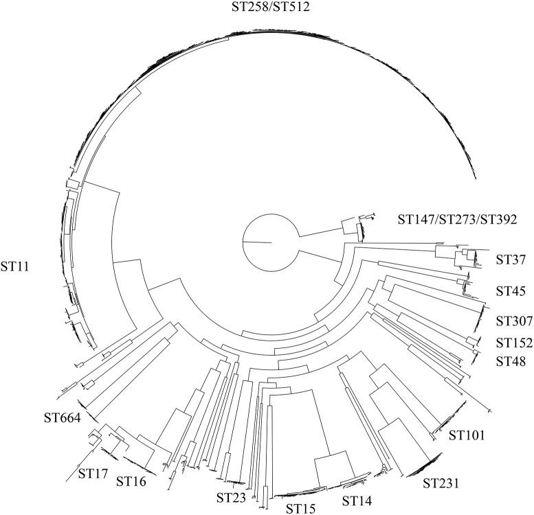 FIGURE 1