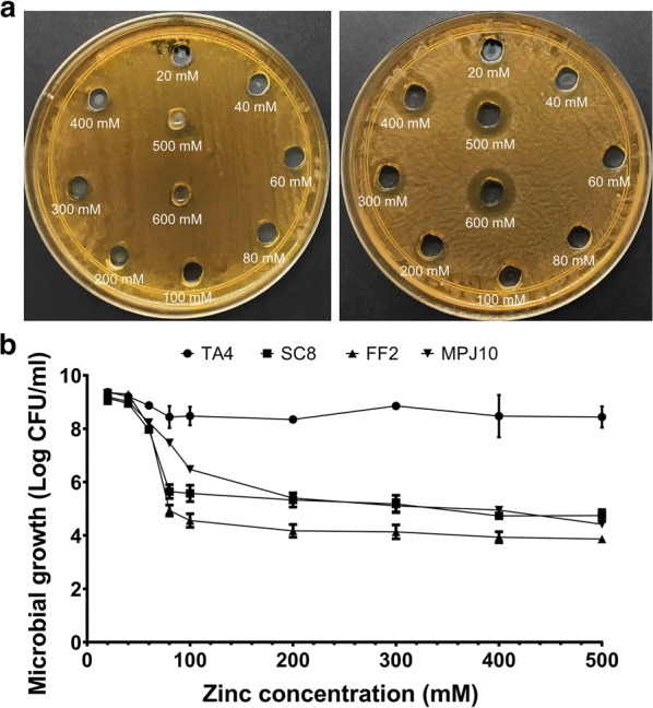 Fig. 2