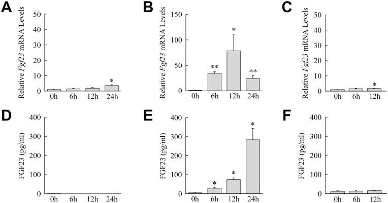 Fig 5