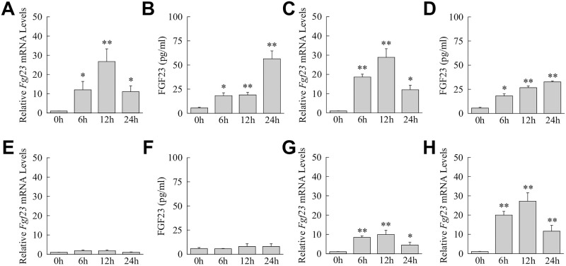 Fig 6