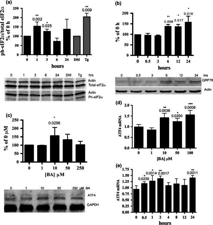 Fig. 2