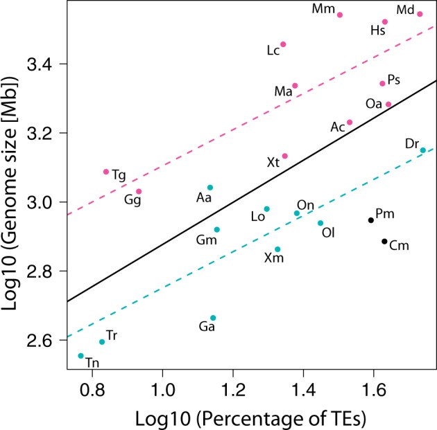 Fig. 2.—