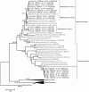 FIG 3