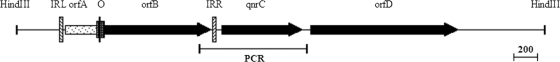 FIG. 5.