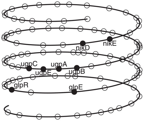 Figure 15