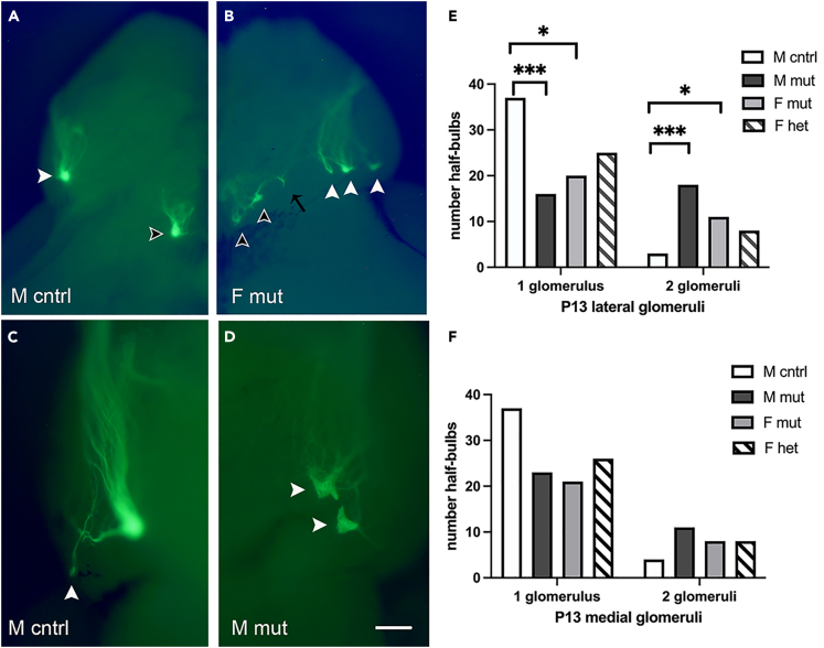 Figure 2