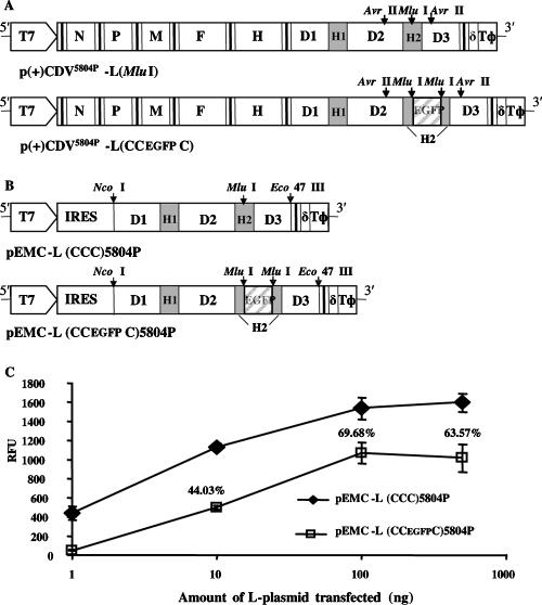 FIG. 1.