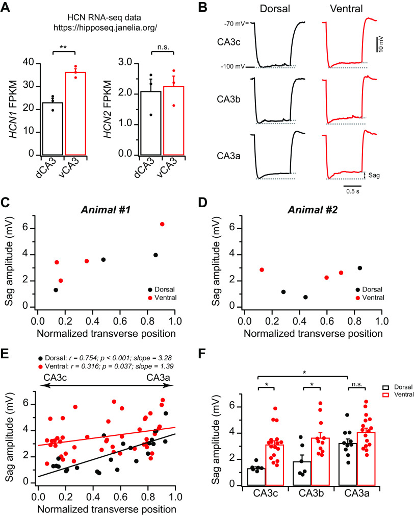 Fig. 8.