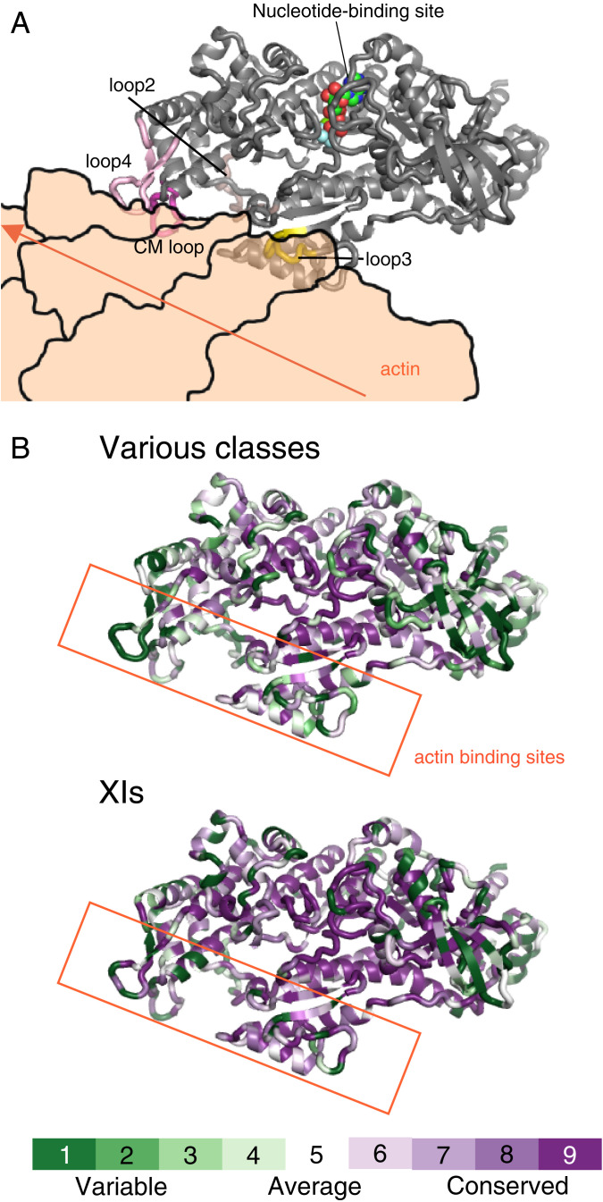 Fig. 5.