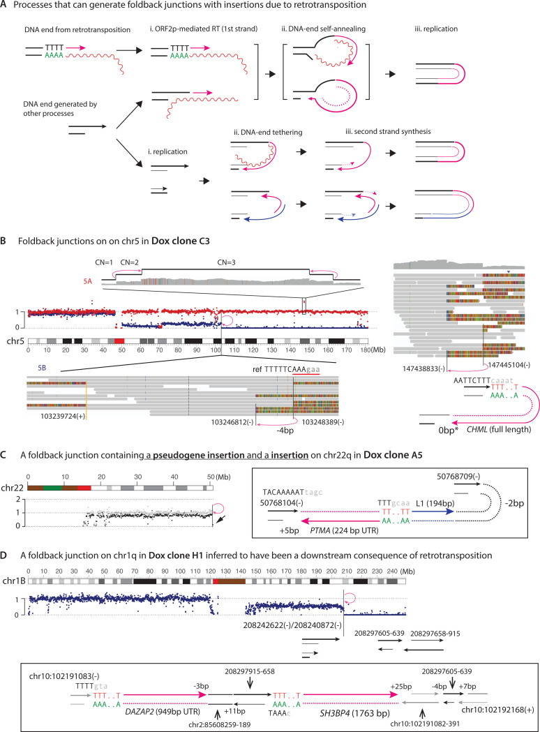 Figure 6 |