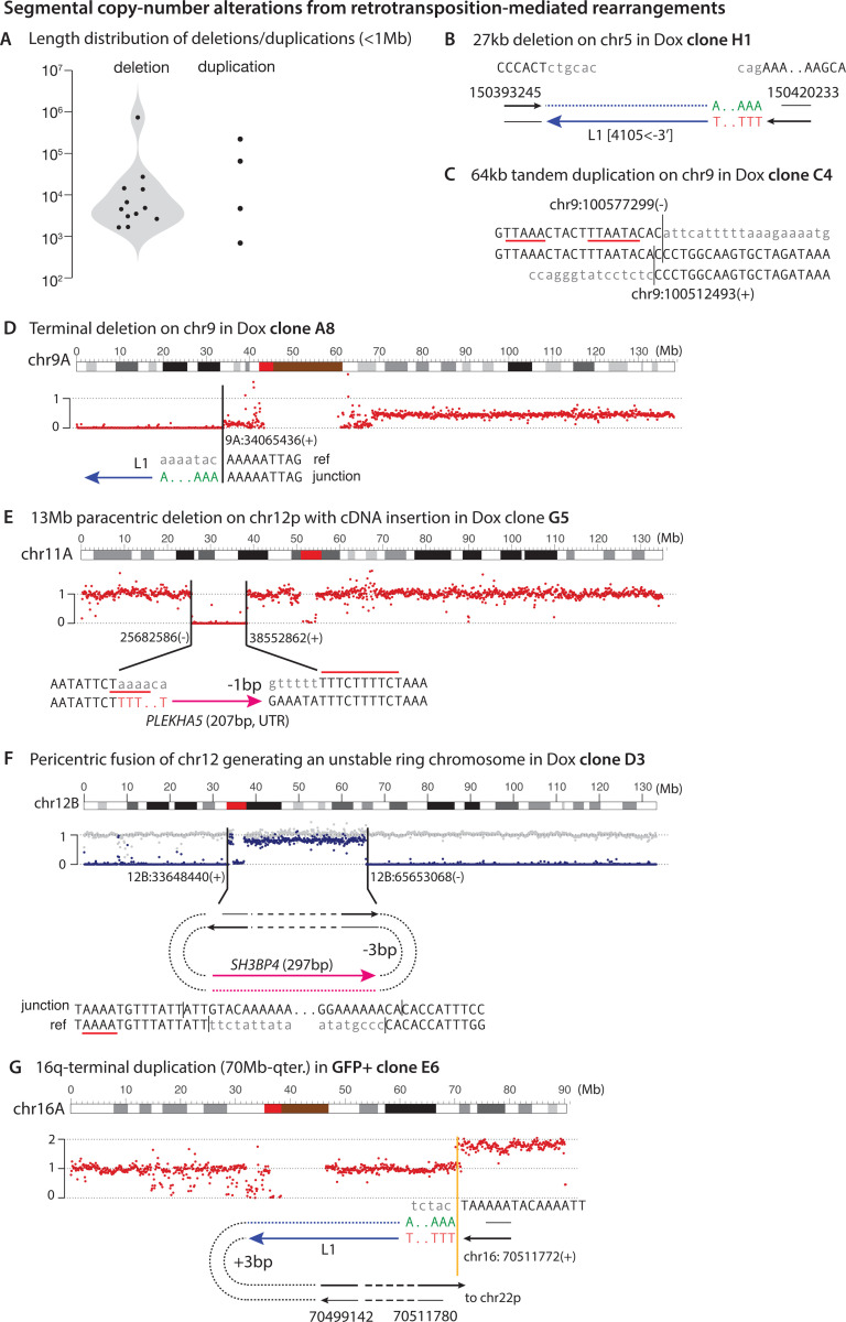 Figure 5 |