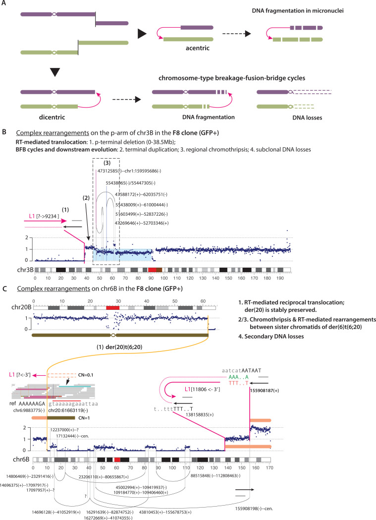 Figure 7 |