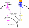 FIG. 8.