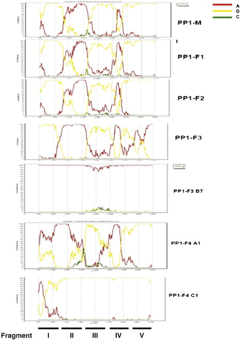 Fig. 3