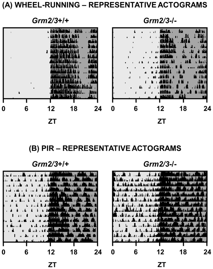 Fig 4