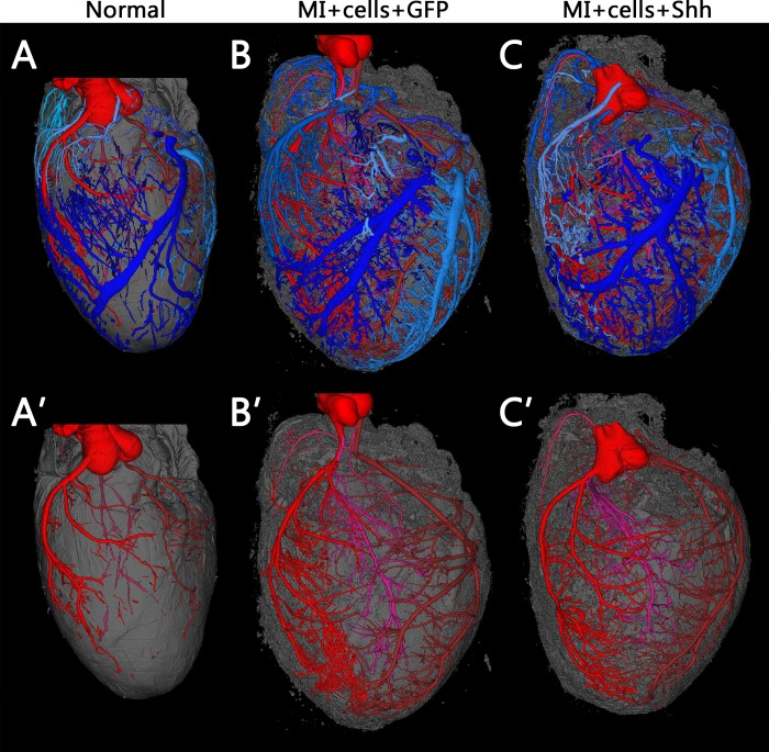 Fig 6