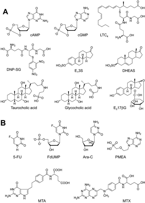 Fig. (2)