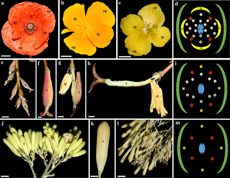 Fig. 1