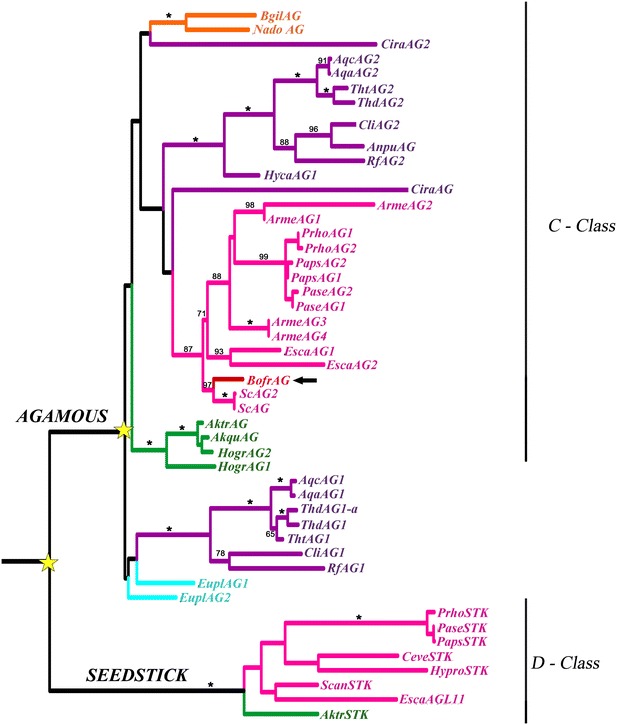 Fig. 7