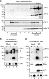 FIG. 6.