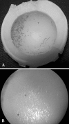 Fig. 4A–B