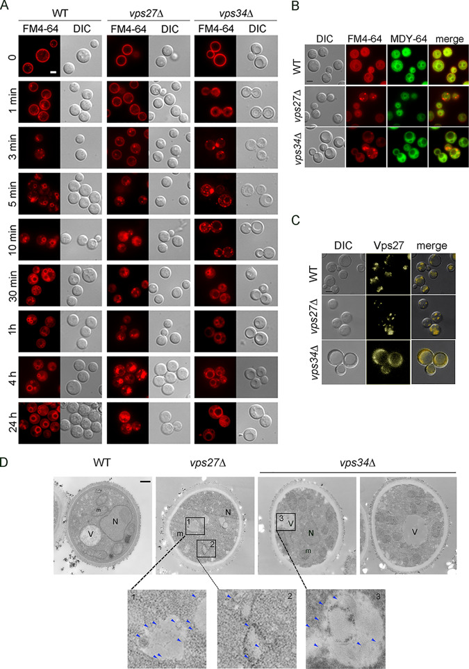 FIG 4