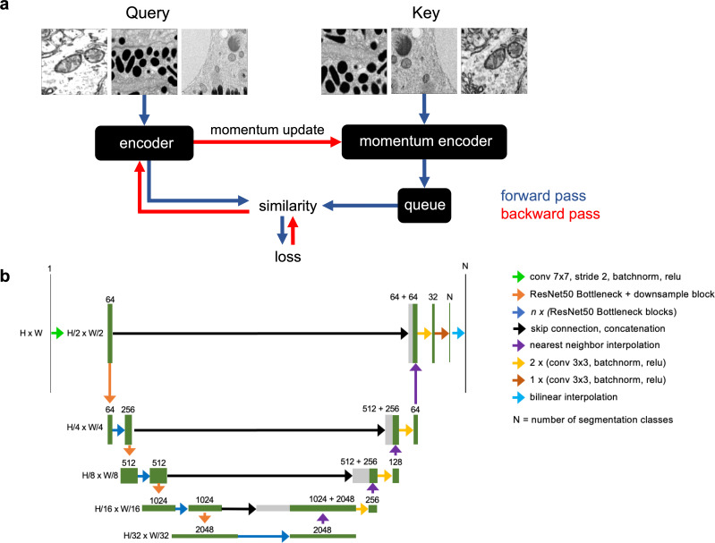 Appendix 1—figure 3.