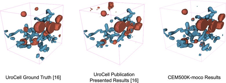 Appendix 1—figure 5.