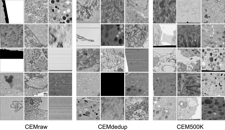 Appendix 1—figure 2.