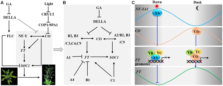 FIGURE 4