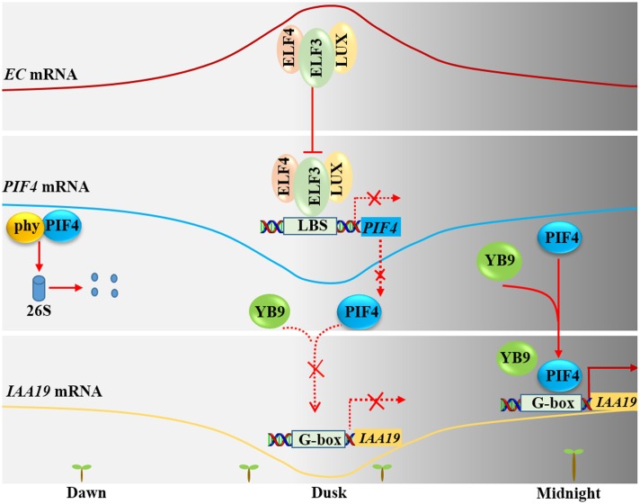 FIGURE 3