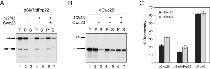 Figure 5.