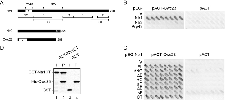 Figure 2.