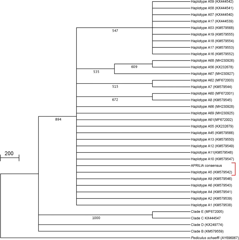 Fig. 2