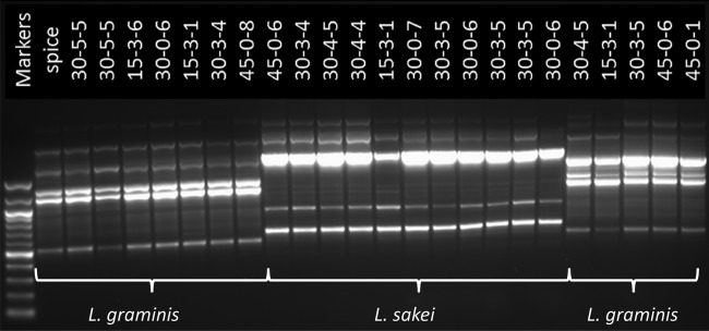 FIG 12