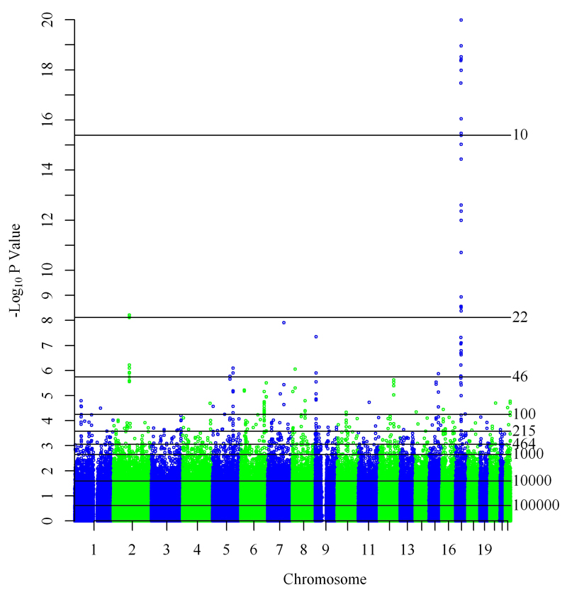 Figure 1