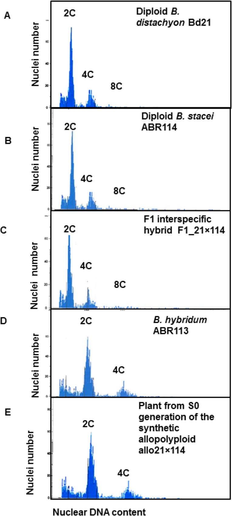 Fig 4