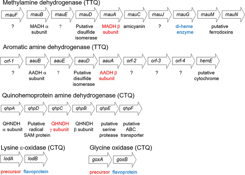 Figure 5.