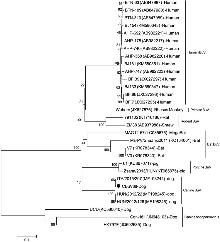 Figure 1.